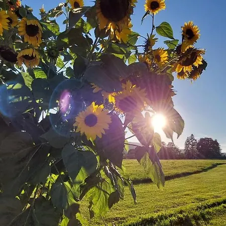 Herzstueck Erzgebirge Апартаменты