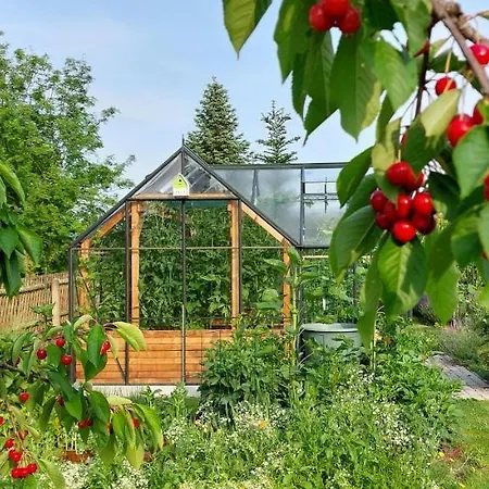 Herzstueck Erzgebirge Апартаменты *