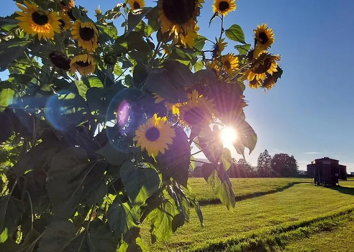 Herzstueck Erzgebirge 公寓