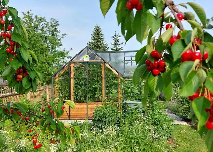 Herzstueck Erzgebirge 公寓 *