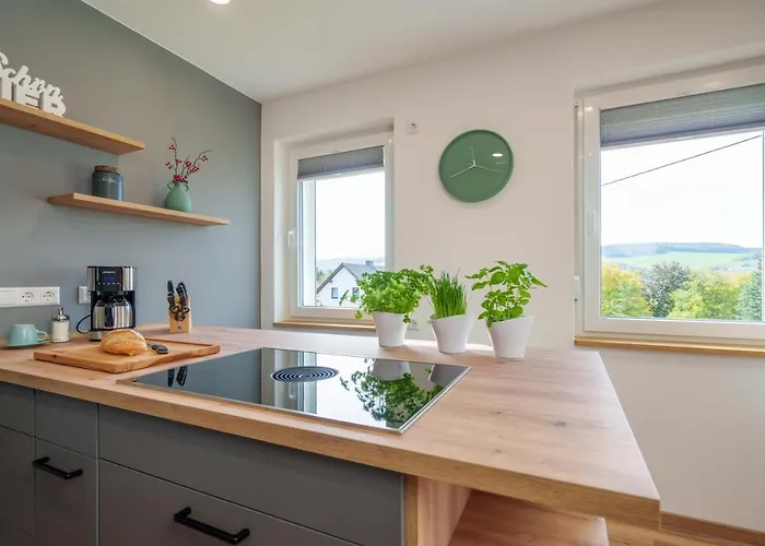 公寓 Herzstueck Erzgebirge 奥尔贝尔恩豪